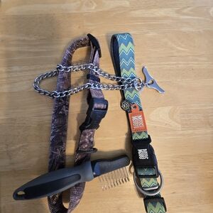 Vibrant Dog Collar Set